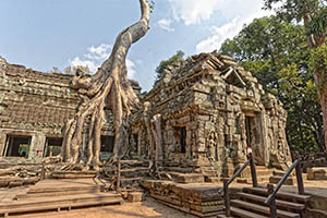 Ta Prohm