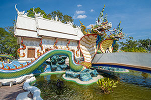 Wat Nong Chap Tao